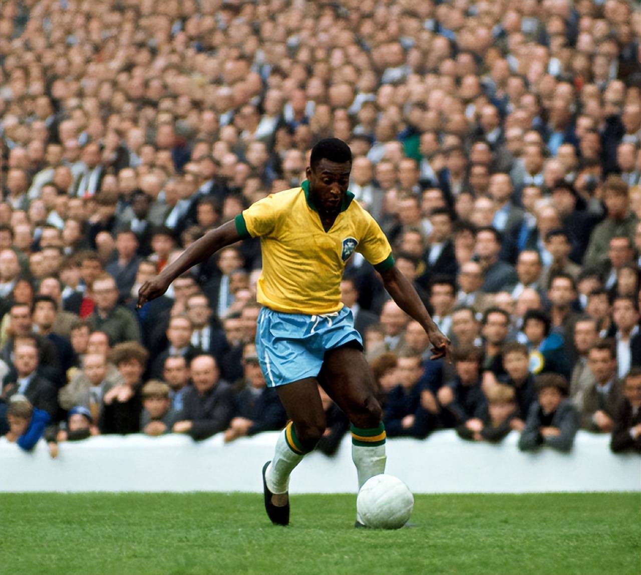 葡萄牙主帅：不会给C罗特殊待遇，英格兰是世界杯夺冠热门（葡萄牙主帅：C罗无特权，英格兰是世界杯夺冠大热）